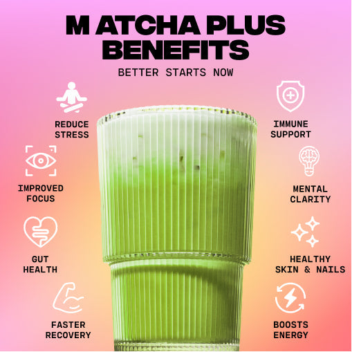 30-servings-of-mushroom-matcha-free-starter-kit-x9 1_e8b56491-7cb2-472e-ac2c-4f42e819f02f.jpg