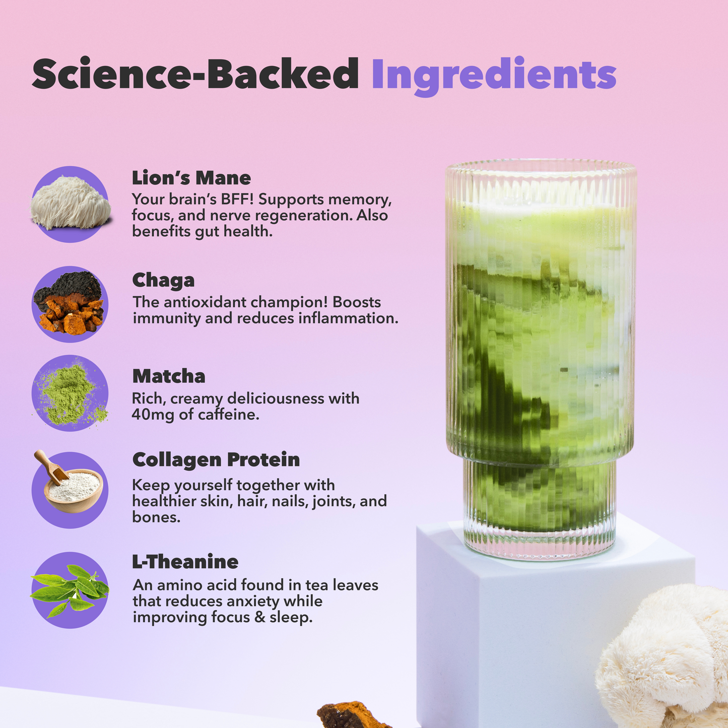 90-servings-mushroom-matcha-r1 custom_resized_386f63f8-0691-449c-9e51-462fed6c0033.png